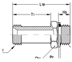 供應(yīng)意大利RACFLUID  60°BSP錐形密封接頭4MA-3/4-1/2