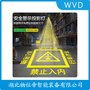 PD-TYDDT-DY300安全投影燈 WVD