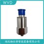 HZW-6A-A2-B2-C2-D2振動(dòng)變送器 WVD