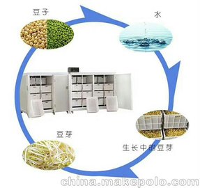 南京全自動豆芽機械生產(chǎn)廠家