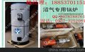 “沼气锅炉”生产厂家--济宁力扬