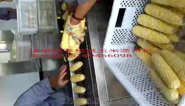 博泽全自动玉米切段机，甜玉米切段机流水线