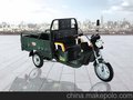 电动三轮车品牌排行榜