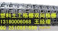 塑料土工格栅厂家 双向格栅产品13180006068