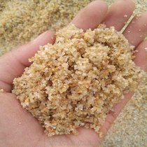 山东热销天然水洗海砂 40-80目儿童乐园用海沙 规格齐全