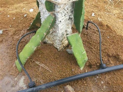 格萊歐(圖)、熱熔pe管、崇左pe管圖片