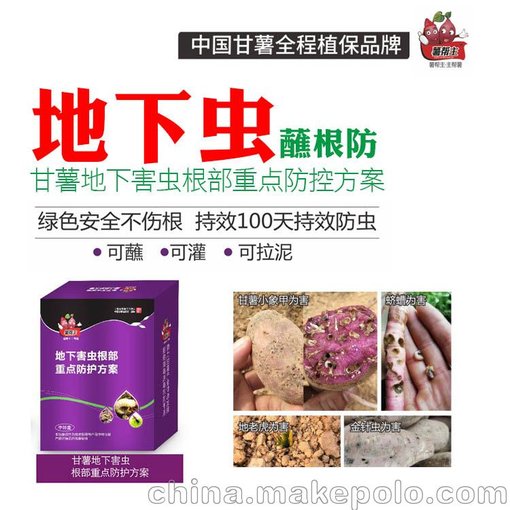 紅薯地下害蟲蠐螬金針蟲 薯幫主 甘薯小象甲防治 吡蟲啉氟蟲腈圖片