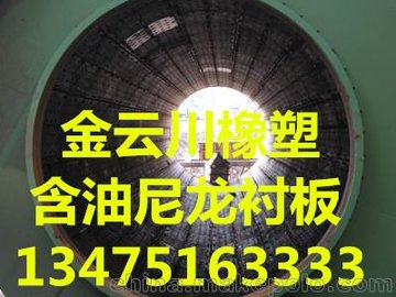 矿井储煤斗新材料耐磨塑料板