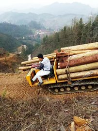 履带运输车 田间小路田埂搬运机 农用大棚单履带爬山车防颠簸