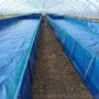 大型高密度加厚 刀刮布养殖水池帆布游泳池 pvc蛙池阳台鱼池