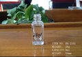 鼎新玻璃大家都在找的9ml 小直方甲油瓶产品上市DH-2101