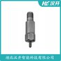 湖北漢開 二線制振動變送器XZ862A-02-20-40-04-10