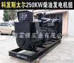 250kw柴油发电机组