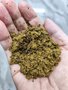 供应 全脂 膨化棉籽