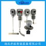 VZ/XAB100阻旋式物位計(jì) 開航