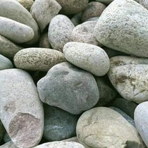  @ͥԺe쾰Zʯ ӵo | 20-30cm