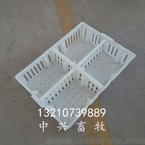 雞苗周轉(zhuǎn)筐 塑膠筐 全新料運(yùn)苗箱 小雞筐批發(fā)圖片
