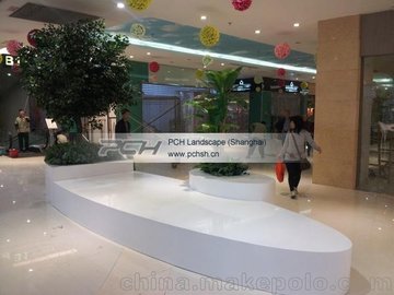 ɫΣPCHSH-0081 ̳