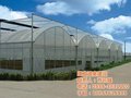 玻璃连栋温室_建发温室建设