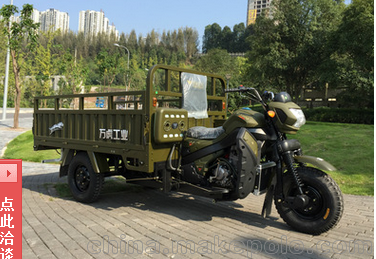 萬(wàn)虎牌 新悍虎250載重燃油三輪車(chē)圖片