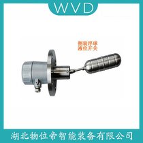 FD3061DA10BHBUʽҺλ_P(gun) WVD