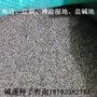 盐碱地湿地绿化滩涂海滨海坝绿化碱蓬草种子 红海滩景观翅碱蓬
