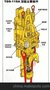 美国强鹿deere TDS-11SA 3802096 
