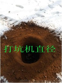 ϴ׻ڿӻ 