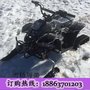 大型卡丁车济宁金耀适合各种地形