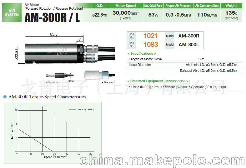 AM-300R L