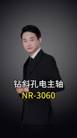 钻斜孔电主轴NR-3060