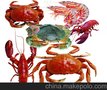 新鲜扇贝特级水产新鲜图片