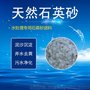 蓝星1-2mm自来水厂过滤用径直石英砂滤料