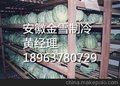 供应厂家直销2015新型铜陵水果保鲜冷库安装