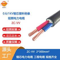 h(hun)| c(j)ȼ|ZC-VV 2X300ƽ vv|