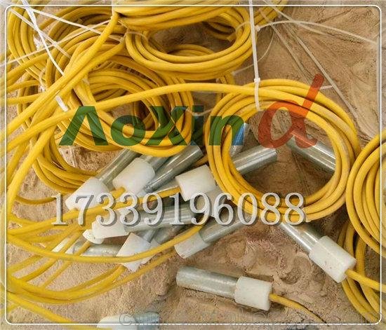 長效飽和硫酸銅參比電極 CUSO4圖片
