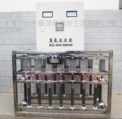 大同-陽泉-晉中內置式臭氧發(fā)生器臭氧消毒機圖片