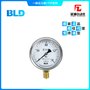 YTF-100.AO一般壓力表不銹鋼表殼M2.*1.5連接布萊迪BLD