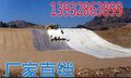 长沙厂家供应涤丙纶土工布腈纶土工布锦纶土工布供应直发销售