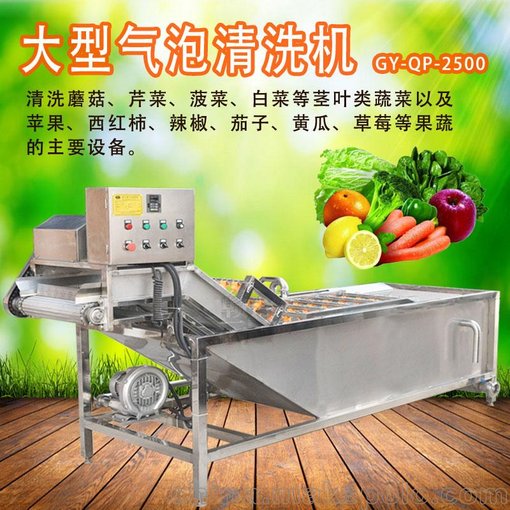 大型自動(dòng)洗蔬菜機(jī) 清洗葉子菜的機(jī)器 水循環(huán)氣泡清洗機(jī)圖片
