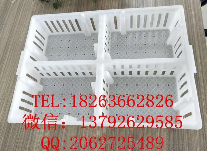 小雞塑料周轉(zhuǎn)筐 雞苗筐 優(yōu)質(zhì)雛雞筐運(yùn)輸籠圖片