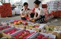 上海水果进口报关Fruits 马来西亚进口水果上海报关