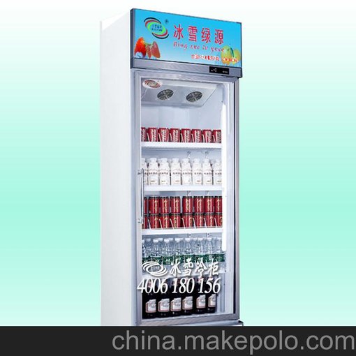 立式冰柜展示柜 商用冰箱水果保鮮柜 飲料冰柜 送貨上門圖片