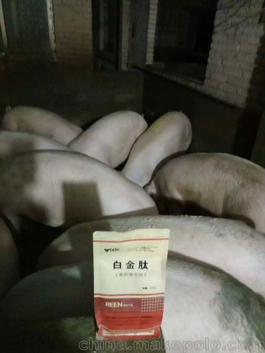 小豬拉稀特效藥  仔豬專用白金肽 包郵圖片