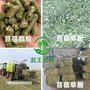 厂家直销丰年虫卵 玉米蛋白粉 牛羊饲料 苜蓿颗粒 苜蓿草捆