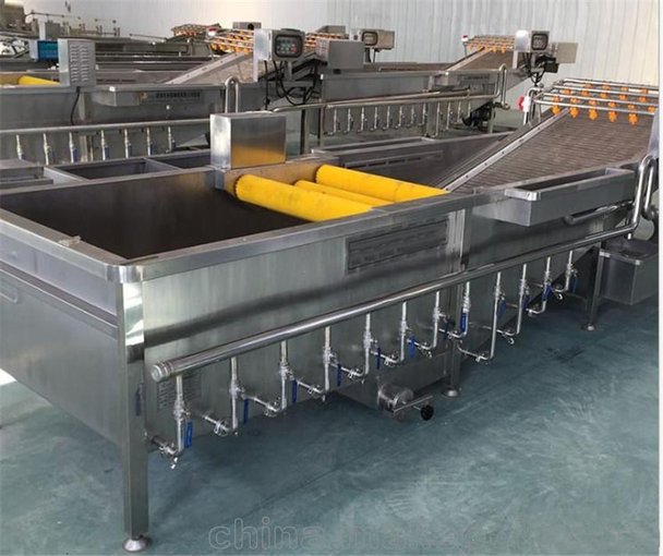 蔬菜清洗機(jī)_果蔬凈菜生產(chǎn)線(xiàn)廠(chǎng)家_專(zhuān)業(yè)凈菜生產(chǎn)線(xiàn)廠(chǎng)家圖片