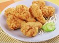 盐酥鸡滚筒上粉机