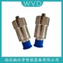 HSBC2G2A磁電式速度傳感器 WVD