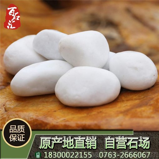 白色鵝卵石直銷(xiāo)精品鵝卵石裝飾圖片