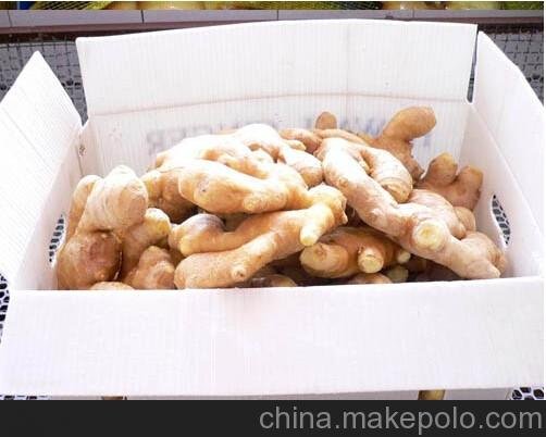 2014年新品五指巖農家自種土生姜原生態(tài)有機新鮮生姜2斤起售圖片